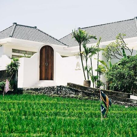 New Design Villa Casa Alma 3Bdr With Private Pool, Canggu Exterior photo